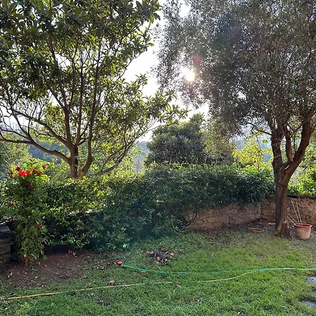 Casa Berizzi Mare - Pineta Centro * Arenzano