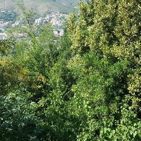 Appartamento Casa Berizzi Mare Arenzano